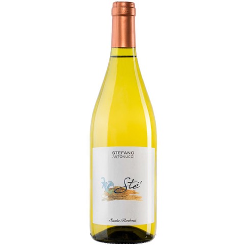 Verdicchio dei Castelli di Jesi Stè Santa Barbara 2020